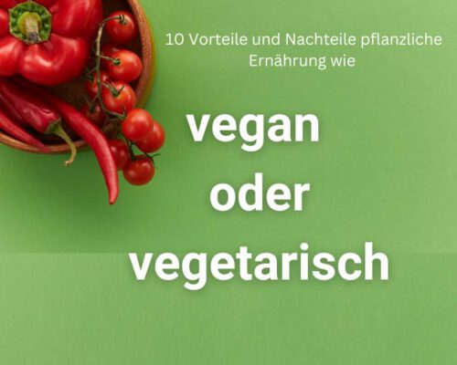 10 Vorteile und Nachteile pflanzliche Ernährung wie vegan oder vegetarisch
